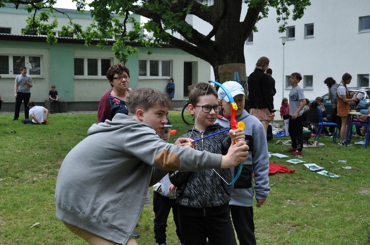 Piknik w Puławach