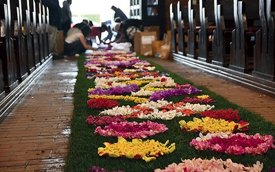 	W układanie dywanu zaangażowało się wielu parafian. Niektórzy przynieśli kwiaty, inni dodatkowo spędzili kilka godzin w kościele, przygotowując dekorację.