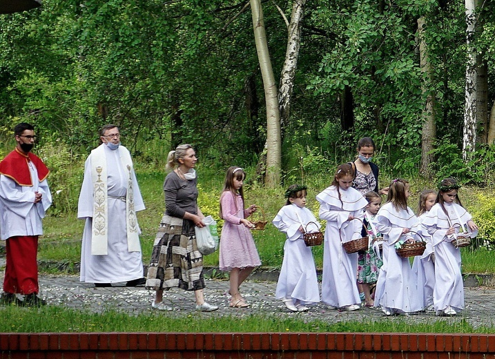 Uroczystość NSPJ i poświęcenie obrazu