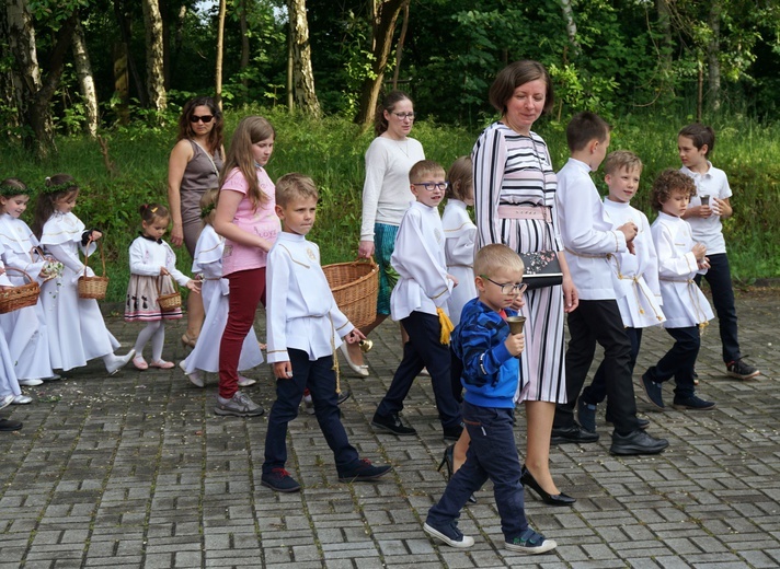 Uroczystość NSPJ i poświęcenie obrazu