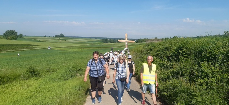 Pielgrzymka z Janowa Lubelskiego do Radecznicy