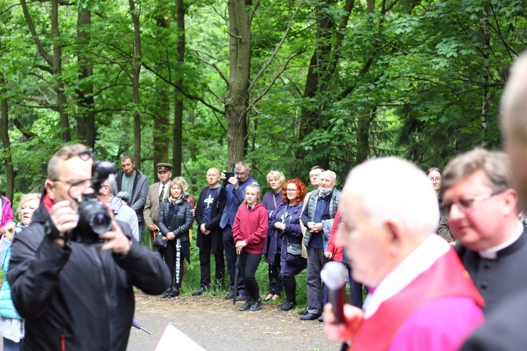 Golgota na Sępiej Górze