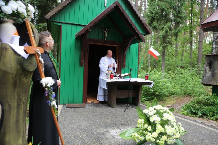 Pielgrzymka do św. Antoniego na Kruczek