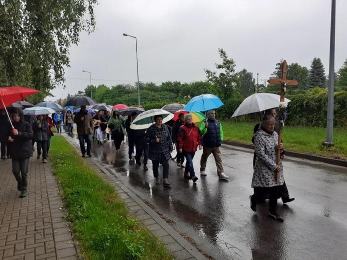 Pielgrzymka do św. Antoniego na Kruczek