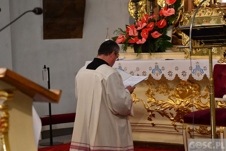 Pielgrzymka leśników do Rokitna