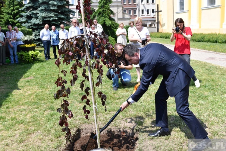 Poświęcenie zielonego "Zakątka u św. Mikołaja" w Głogowie