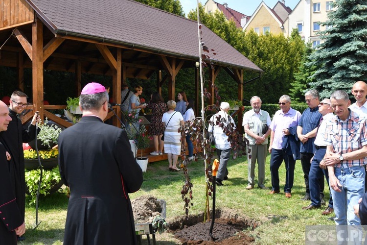 Poświęcenie zielonego "Zakątka u św. Mikołaja" w Głogowie