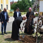 Poświęcenie zielonego "Zakątka u św. Mikołaja" w Głogowie