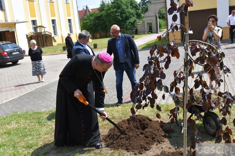 Poświęcenie zielonego "Zakątka u św. Mikołaja" w Głogowie