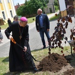 Poświęcenie zielonego "Zakątka u św. Mikołaja" w Głogowie