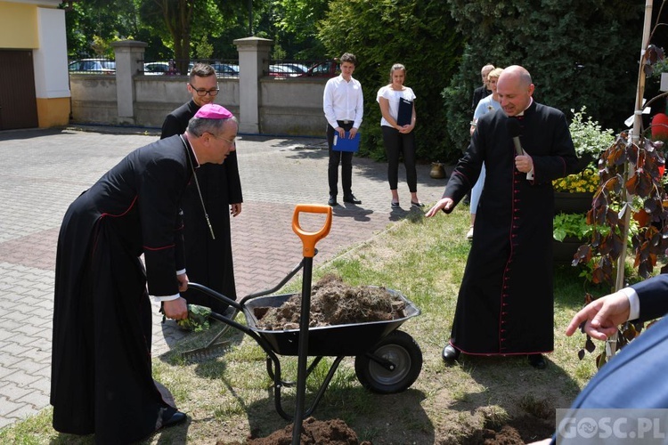 Poświęcenie zielonego "Zakątka u św. Mikołaja" w Głogowie