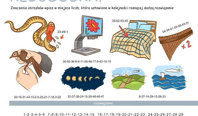 Konkurs: Rozwiąż rebusograf#9