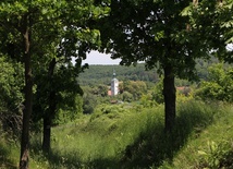 Sanktuarium NMP Różańcowej w Nowolesiu, z Bramą-Rybą, czeka na odkrycie