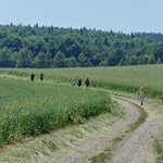 17. etap Dróg św. Jakuba