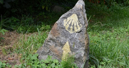 Męskie camino