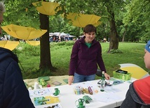 ▼	W specjalnych strefach specjaliści udzielają informacji, gdzie, do kogo można się zwrócić.