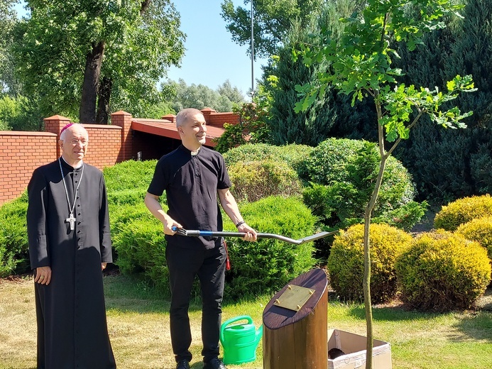 Dąb pamięci i modlitwy za śp bp. Alojzego Orszulika