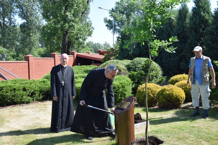 Dąb pamięci i modlitwy za śp bp. Alojzego Orszulika