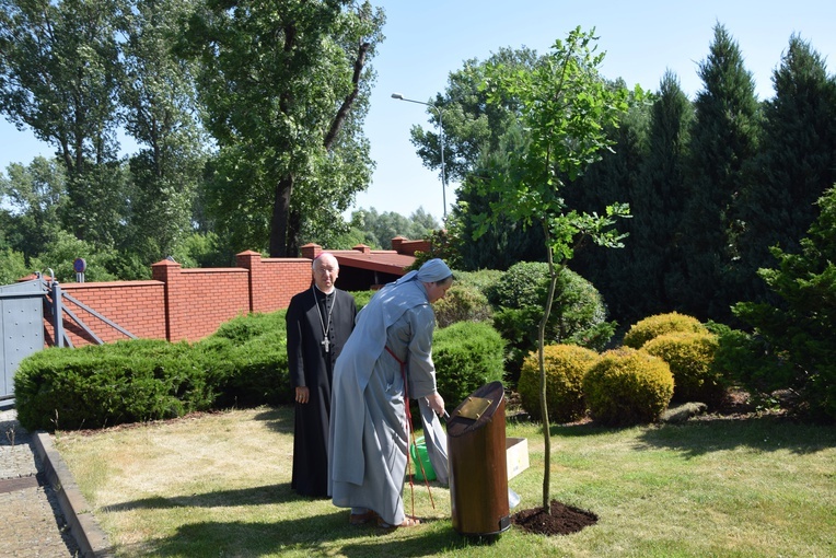 Dąb pamięci i modlitwy za śp bp. Alojzego Orszulika