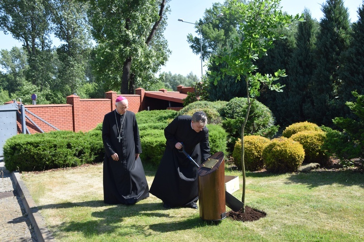 Dąb pamięci i modlitwy za śp bp. Alojzego Orszulika