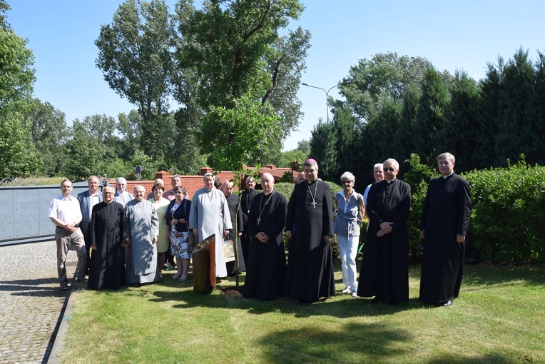 Dąb pamięci i modlitwy za śp bp. Alojzego Orszulika