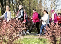 Do tej pory odbyło się 10 edycji zajęć nordic walking. Wzięło w nich udział ponad 1,5 tys. osób.