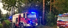 Śląskie. Ponad 4 tys. strażaków brało udział w usuwaniu skutków burz 