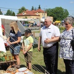 VI Tum Jest. Piknik historyczny