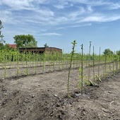 Chorzów. Zielona instalacja na budowie nowego PSZOK-u