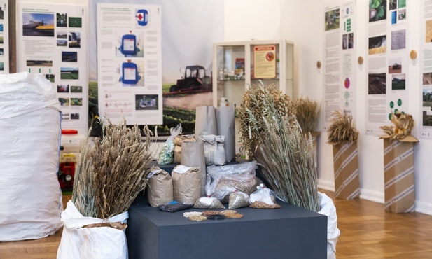 "Rośliny z paszportem". Nowa wystawa w Muzeum Górnośląskim w Bytomiu