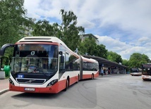 Sosnowiec. Miasto wprowadza nocne busy na specjalne zamówienie pasażera