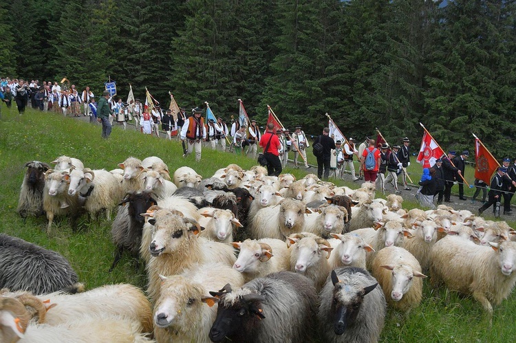 160. rocznica objawień maryjnych na Wiktorówkach