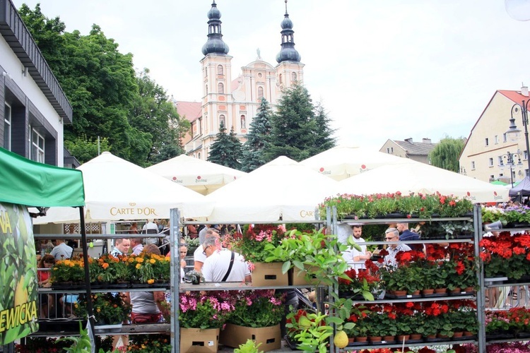 Lato Kwiatów w Otmuchowie