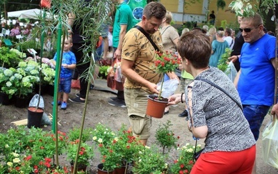 Otmuchowskie Lato Kwiatów