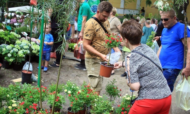 Otmuchowskie Lato Kwiatów