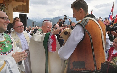 Metropolita krakowski w czasie procesji z darami pobłogosławił małą owieczkę.