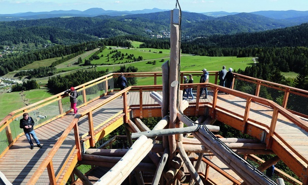 Widok z wieży