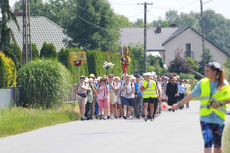 Piesza Pielgrzymka Przemyska