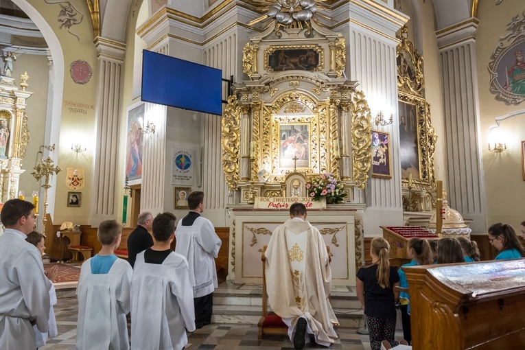 Rowerami z Borek do Luszowic