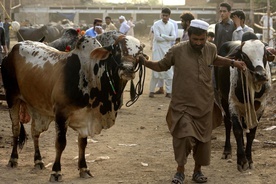 Pakistan: nadużycia w stosowaniu prawa o bluźnierstwie