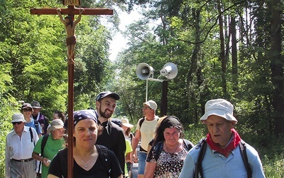 	W tym roku z Góry Kalwarii wybrało się do Matki Bożej Licheńskiej 25 pątników.