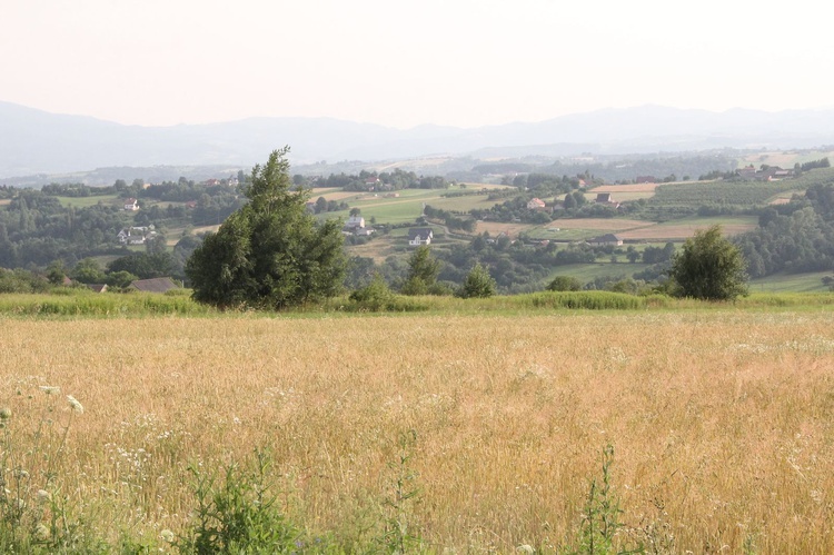 Strzyganiec. Pielgrzmka z Trzetrzewiny