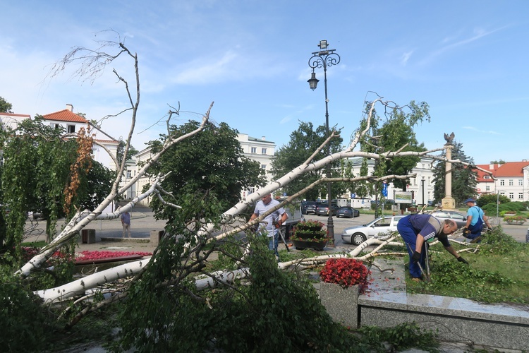 Płock. Krajobraz po burzy