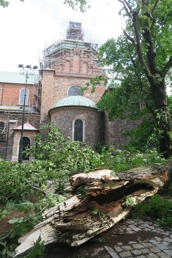 Płock. Krajobraz po burzy