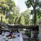 ▲	Uszkodzone nagrobki na płockim cmentarzu katolickim przy ul. Kobylińskiego.