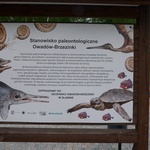 Geopark Owadów-Brzezinki