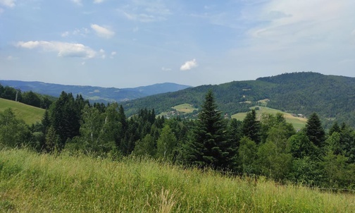 26..08.21| Niedzielny obiad