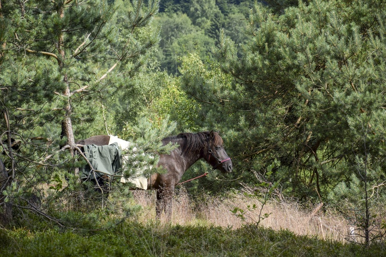 Jaworzyna Kokuszczańska. Piwniczańskie lato dla ducha
