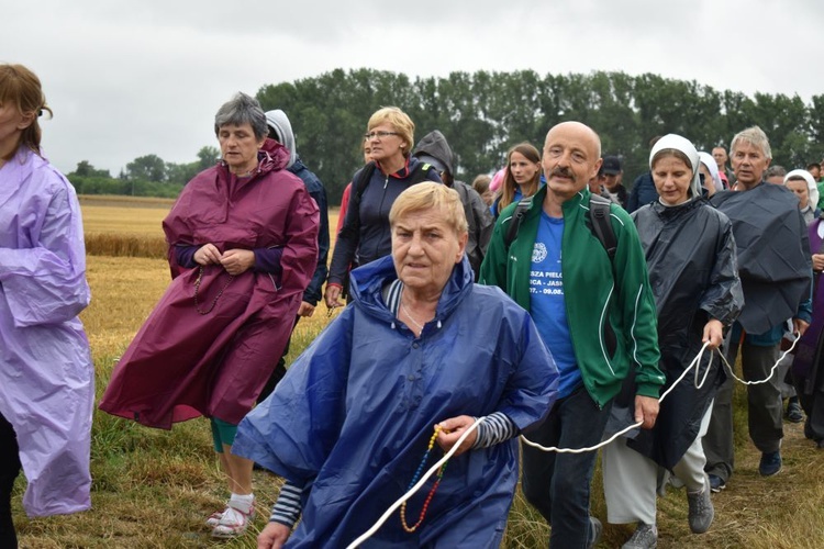 XVIII PPDŚ na Jasną Górę - ze Świdnicy do Ratajna