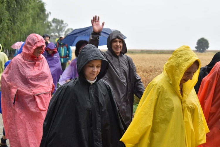 XVIII PPDŚ na Jasną Górę - ze Świdnicy do Ratajna